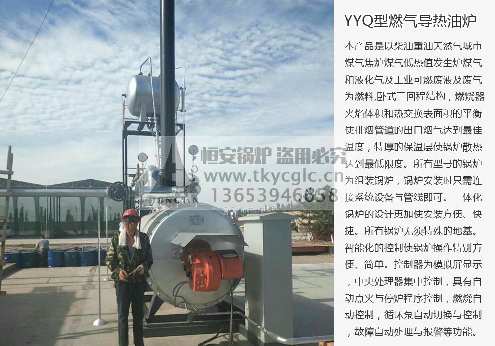 YYQ燃气有机热载体加热炉安装现场